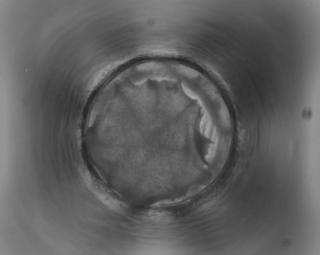 X0000111240487200907231532