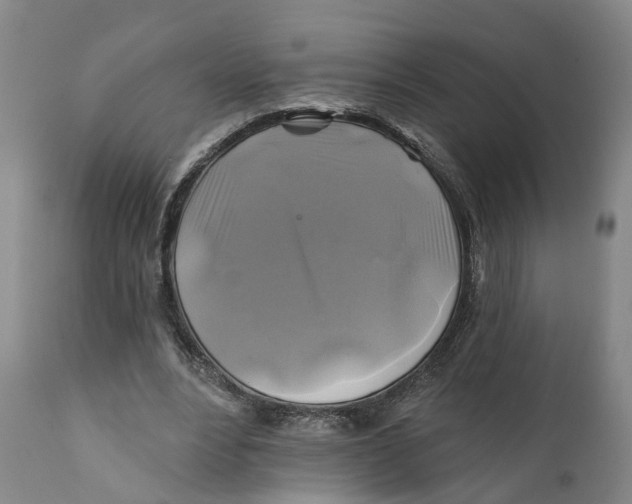 X0000111240488200907231532