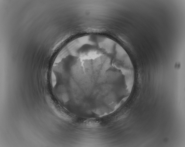 X0000111240491200907231532