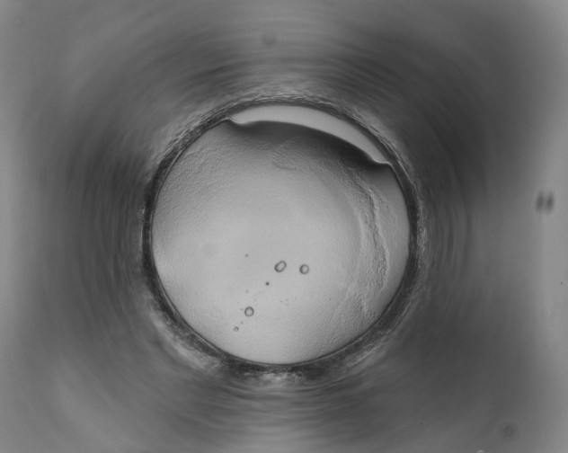 X0000111240493200907231532