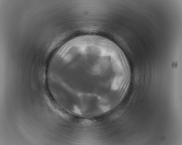 X0000111240494200907231532