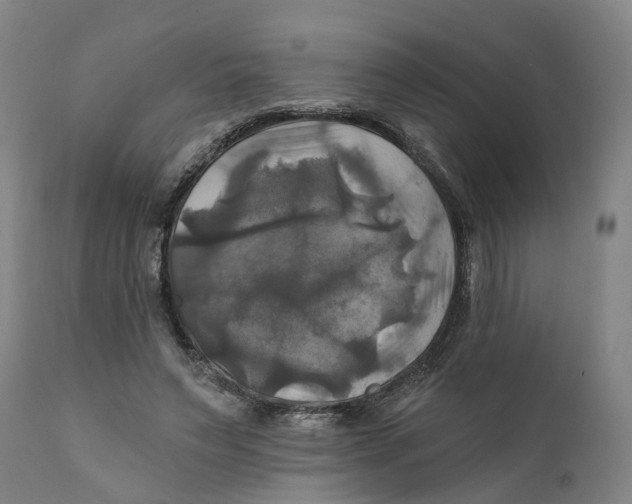 X0000111240495200907231532