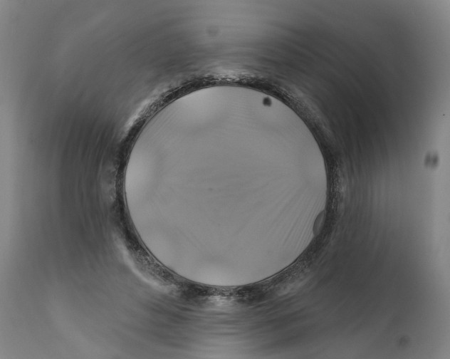 X0000111240496200907231532