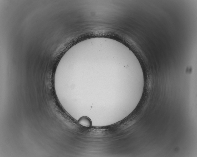 X0000111240497200907231532