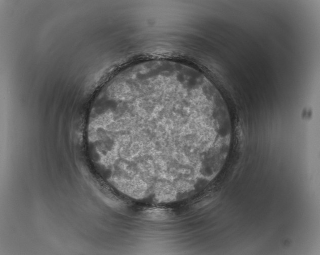 X0000111240499200907231532