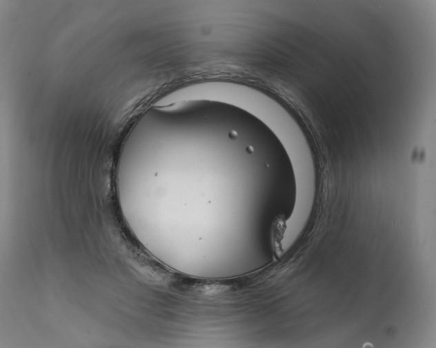 X0000111240501200907231532