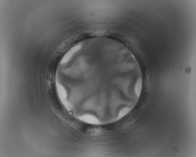 X0000111240503200907231532