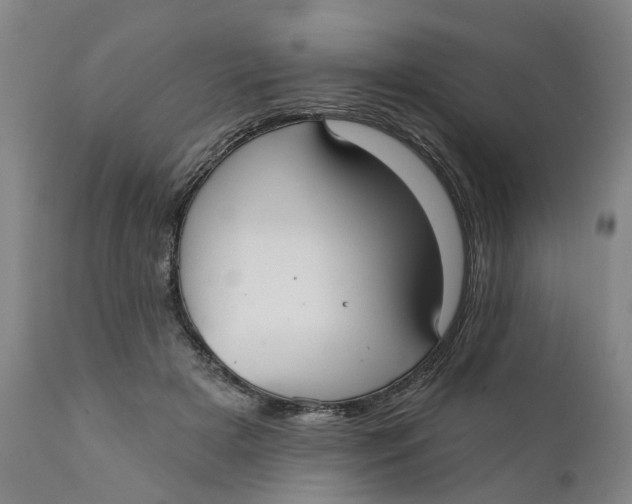 X0000111240505200907231532