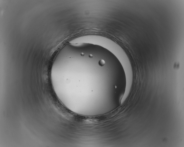 X0000111240508200907231532