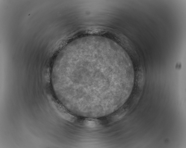 X0000111240510200907231532