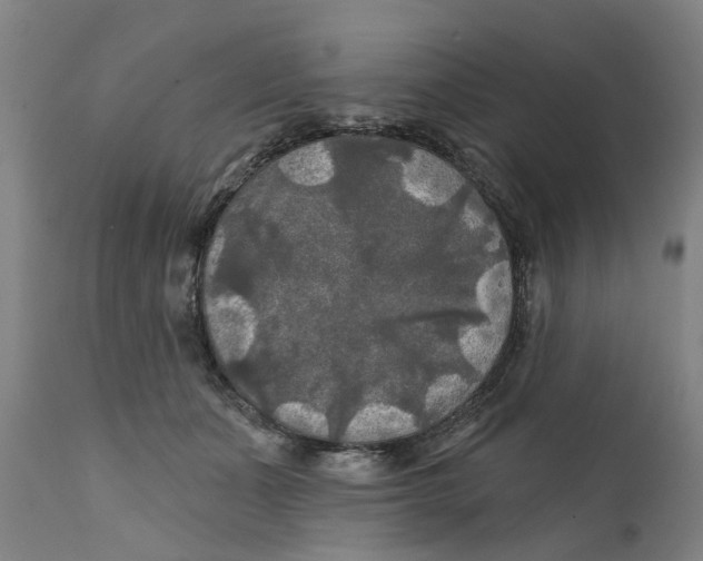 X0000111240511200907231531