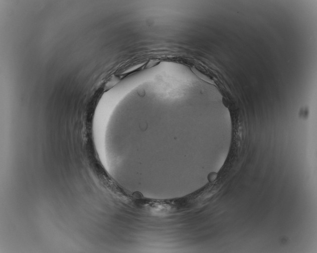 X0000111240512200907231531