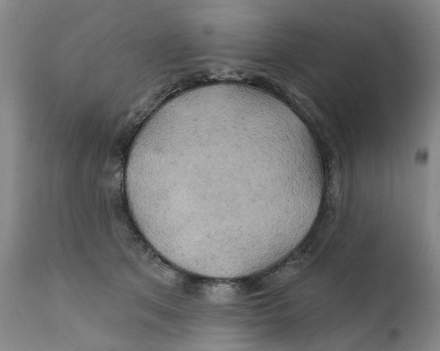 X0000111240513200907231531