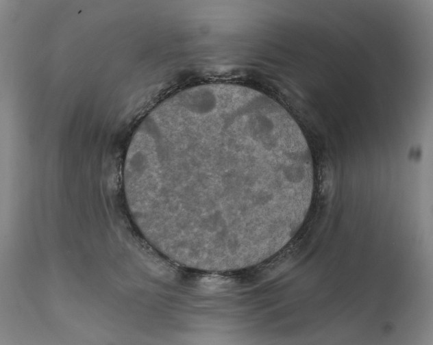 X0000111240515200907231531