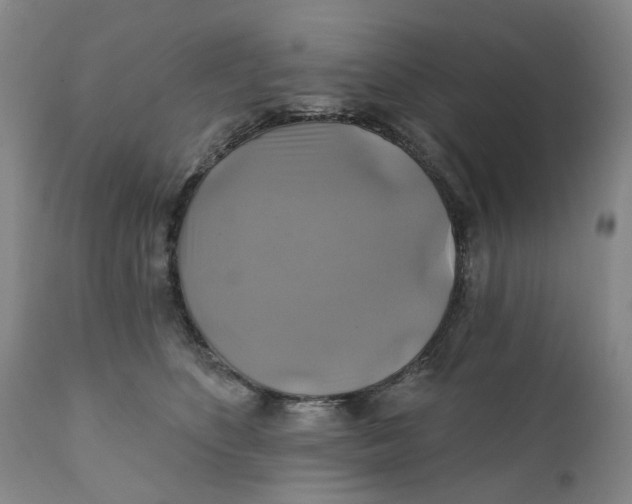 X0000111240516200907231531