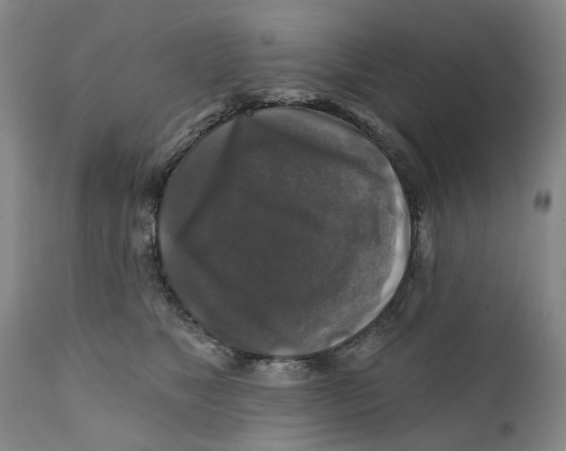 X0000111240517200907231531