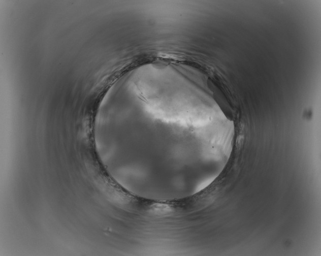 X0000111240519200907231531