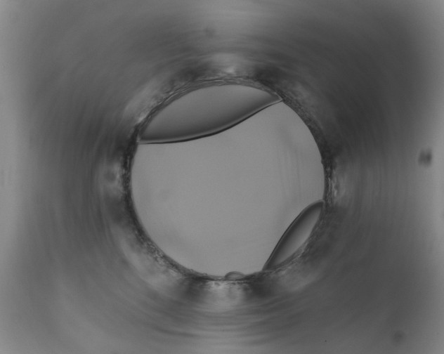 X0000111240520200907231531