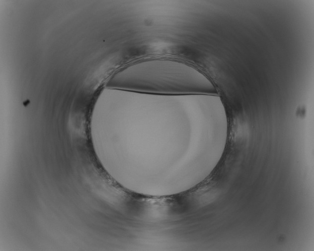 X0000111240524200907231531