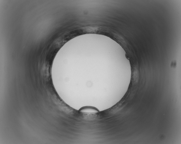 X0000111240525200907231531