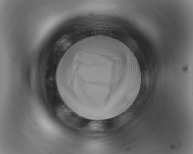 X0000111240526200907231531