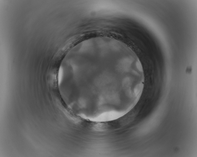 X0000111240527200907231531