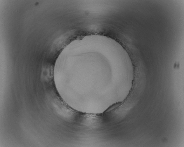 X0000111240528200907231531