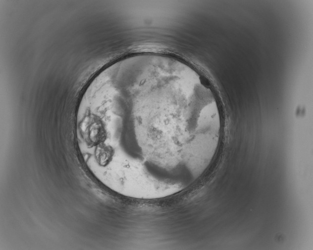 X0000111240529200907231531