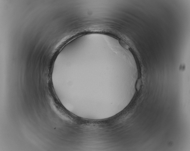 X0000111240530200907231531