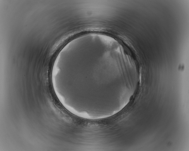 X0000111240531200907231531