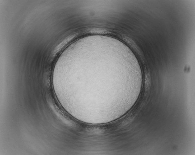 X0000111240533200907231531