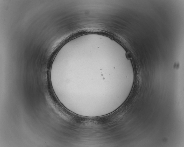 X0000111240535200907231531