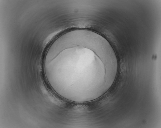 X0000111240536200907231531