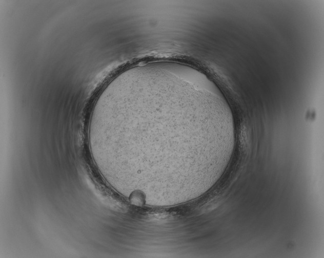 X0000111240540200907231531