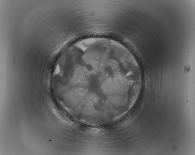 X0000111240542200907231531