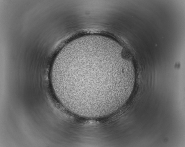 X0000111240543200907231531