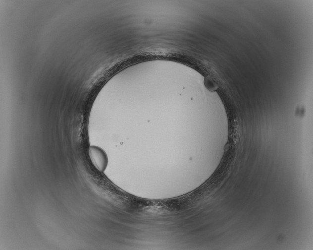 X0000111240544200907231531