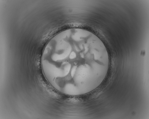 X0000111240545200907231531