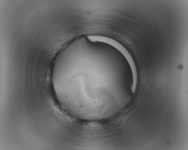 X0000111240546200907231531