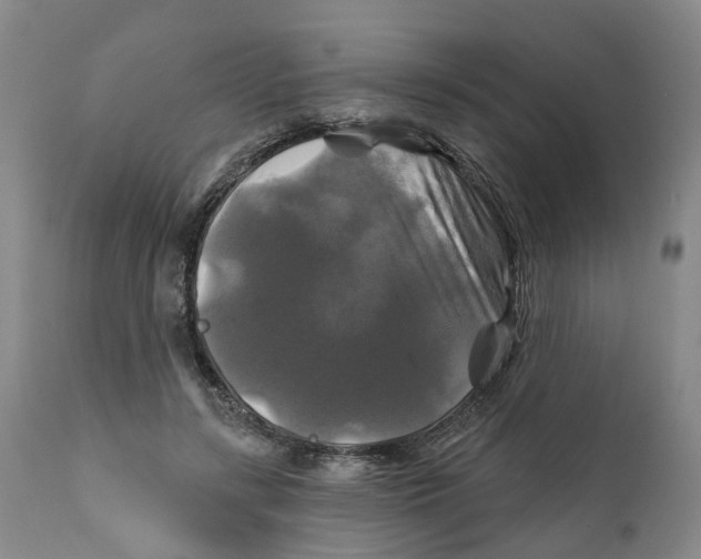 X0000111240547200907231531