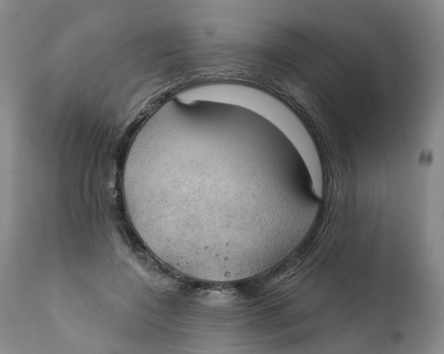 X0000111240548200907231531