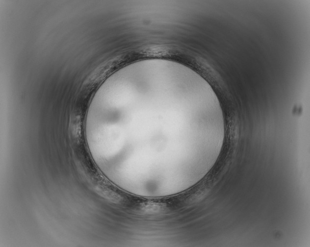 X0000111240549200907231531