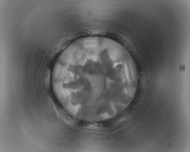 X0000111240550200907231531