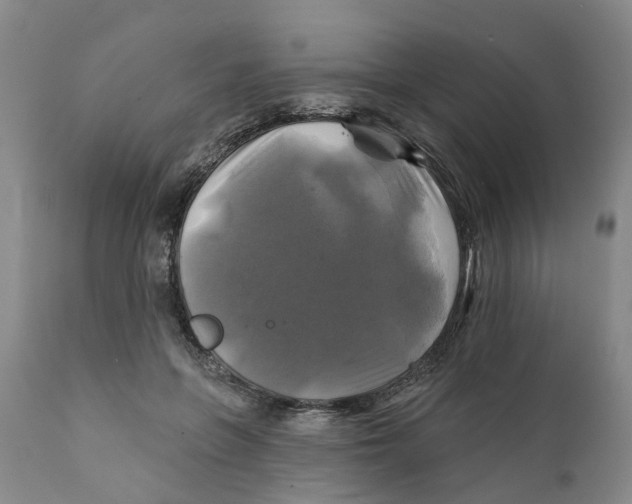 X0000111240551200907231531