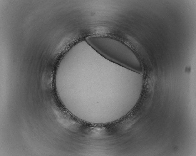 X0000111240552200907231531