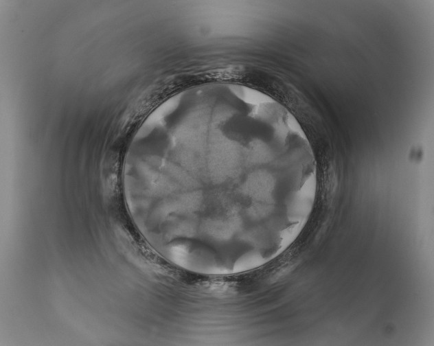 X0000111240553200907231531