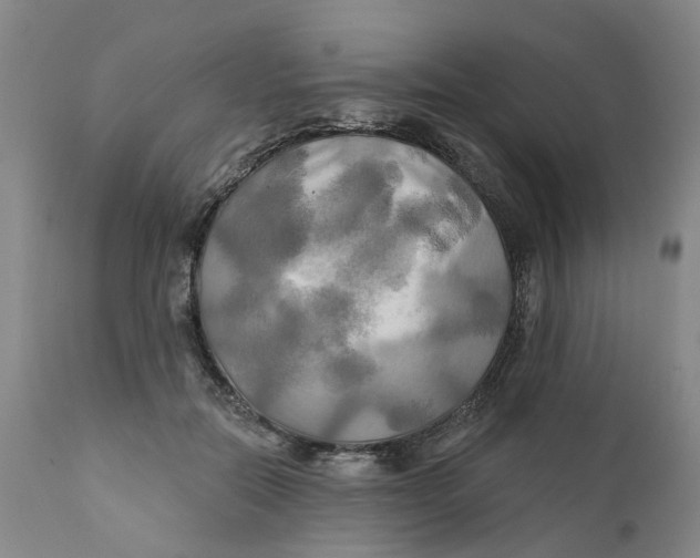 X0000111240554200907231531