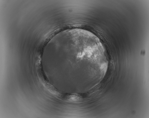 X0000111240555200907231531