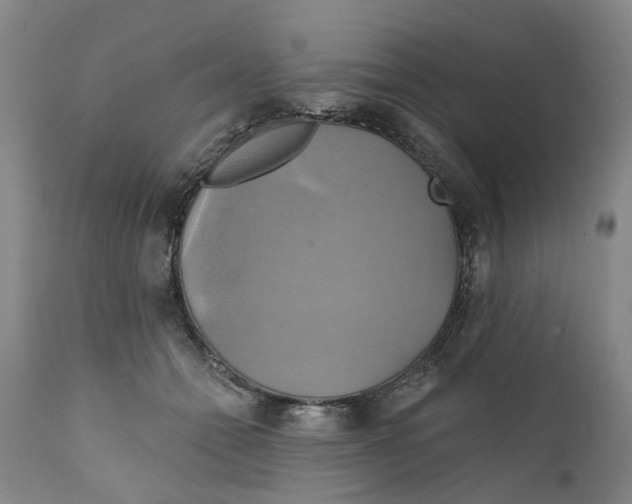 X0000111240558200907231531