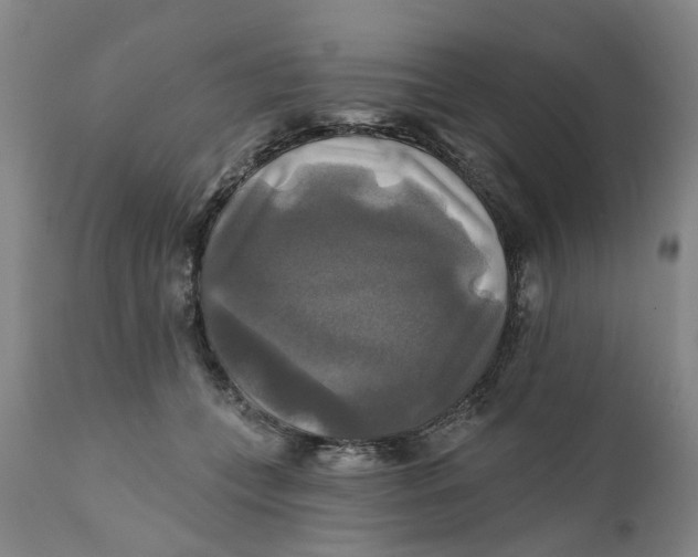 X0000111240559200907231531